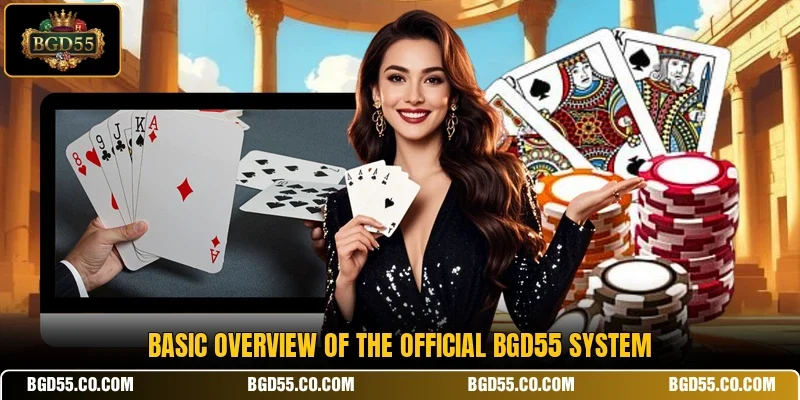 Basic overview of the official BGD55 system