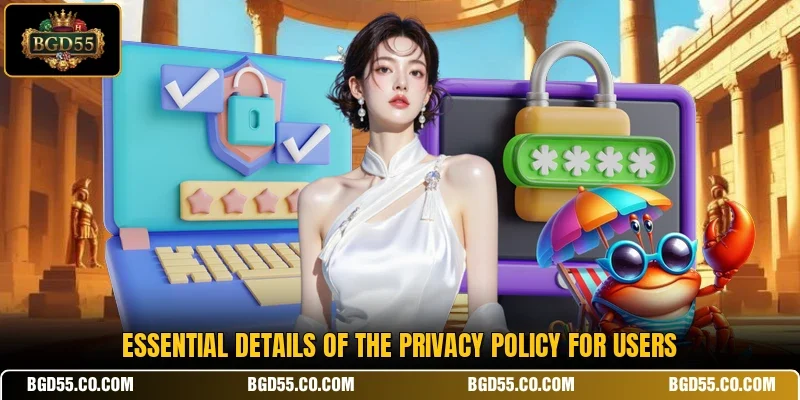 Essential details of the privacy policy for users