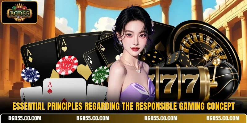 Essential principles regarding the responsible gaming concept
