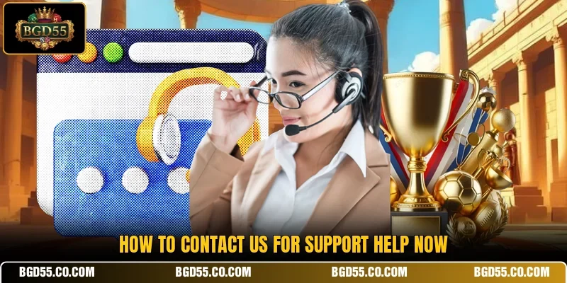 How to contact us for support help now