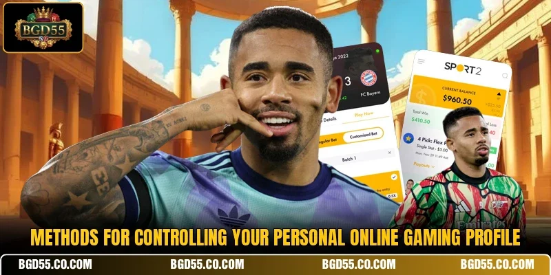Methods for controlling your personal online gaming profile