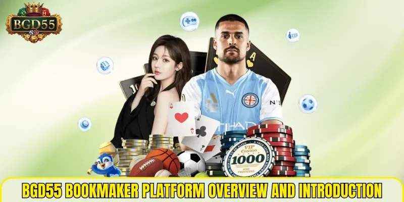 BGD55 bookmaker platform overview and introduction